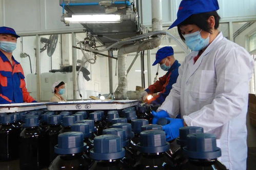 感恩前行 光華科技，不止于中國精細化工50強，深耕生物化工產品技術研發