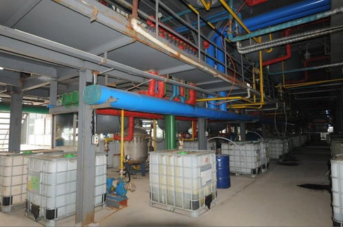 章丘龍翔樹莓生物科技 引領生物化工產品技術研發新篇章